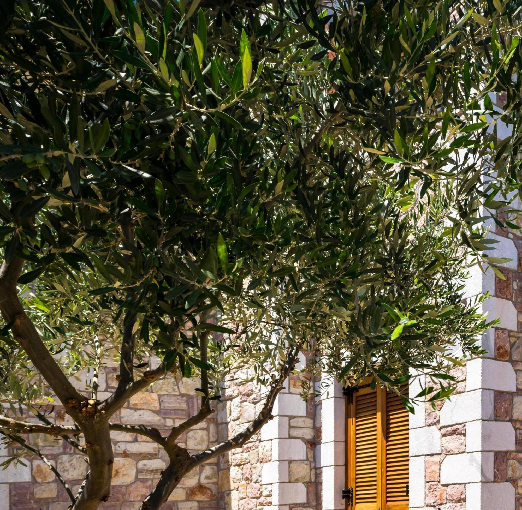 Koróni Liokrina Country Living Villas & Suites מראה חיצוני תמונה